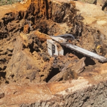 Hollow tree with saw