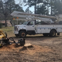 Stump grinder with bucket truck