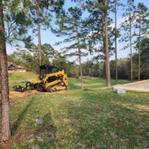 Stump Grinding