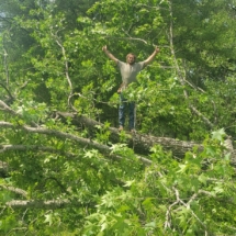 Standing in fallen tree