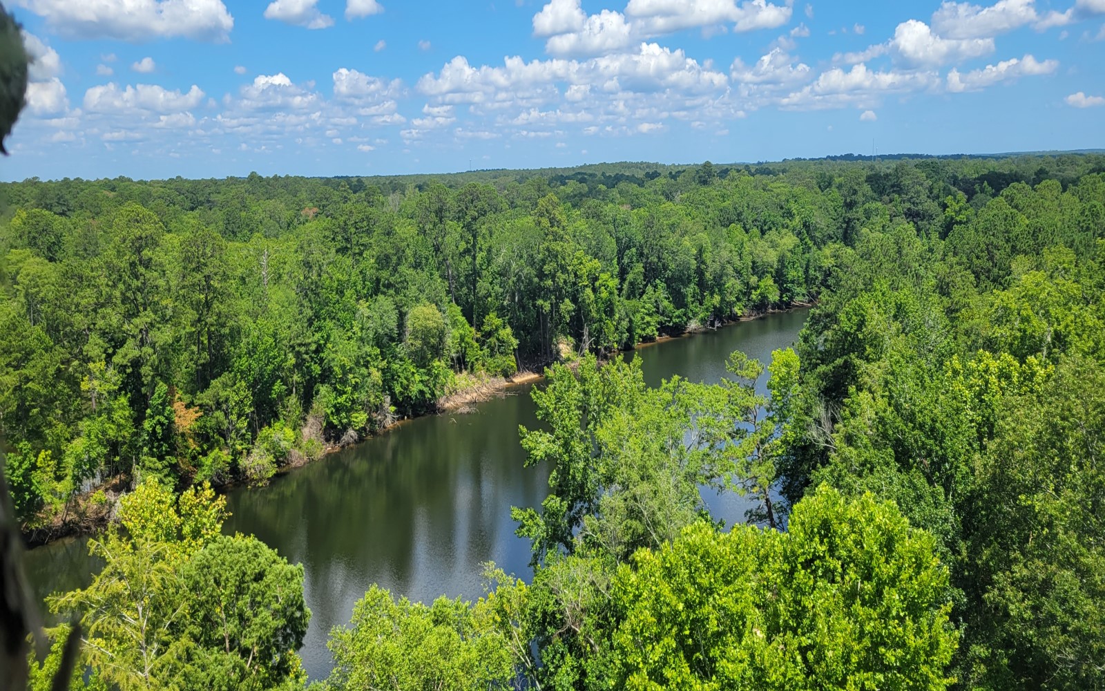 It is very peaceful when you are 100 feet in the air