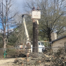 Bucket Truck