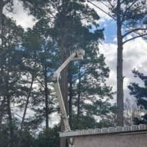 Using our bucket truck